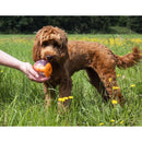 Rosewood Giggling Treat Ball