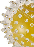 Rosewood Jolly Doggy Catch & Play Duo Ball