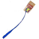 Rosewood Jolly Doggy Flingball