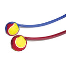 Rosewood Jolly Doggy Flingball