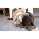 Rosewood Naturals Carrot n Forage Bunny