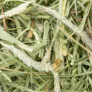 Science Selective Timothy Hay