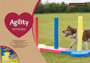 Rosewood Small Dog Agility Training Equipment