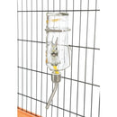 Trixie Honey & Hopper Glass Water Bottle