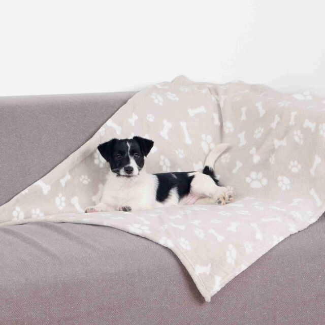 Trixie Kenny Dog Blanket Beige