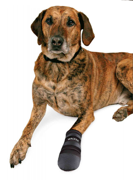 Trixie Walker Injured Protective Dog Boots
