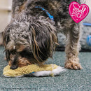 Ancol Small Bite Floppet Fox