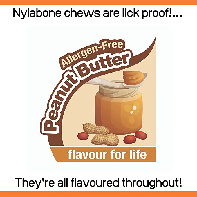 Nylabone Extreme Fill It Chew Peanut Butter