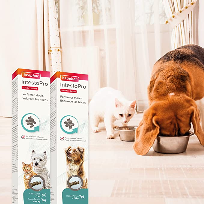Beaphar IntestoPro Probiotic Paste for Cats & Small Dogs 1-15kg 20 ml