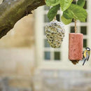 Gardman Berry Suet Roll Wild Bird Foods