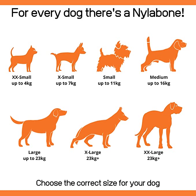 Nylabone Small Dog Bone Variety 3 Pack