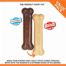Nylabone Puppy Bone Twin Pack XS