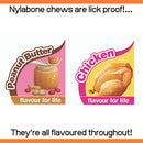 Nylabone Puppy Bone Twin Pack XS