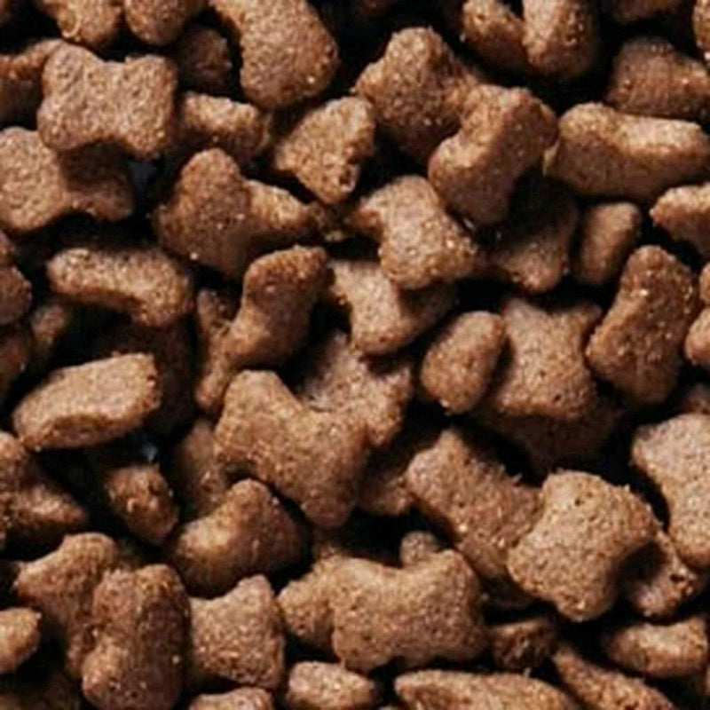 Beaphar Ferret Bits Malt Treats 35g-Package Pets