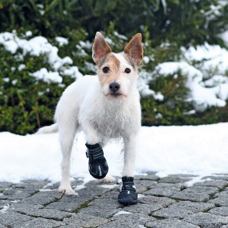 Trixie Walker Active Protective Dog Boots