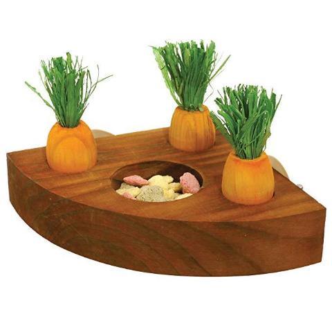 Boredom Breaker Carrot Toy And Treat Holder-Package Pets