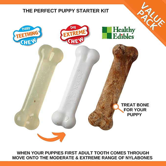 Nylabone Puppy Starter Kit 3 Pack