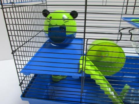 Dexter 2 Tier Large Hamster Cage - Blue & Lime-Package Pets