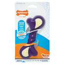 Nylabone Double Action Puppy Chew Regular