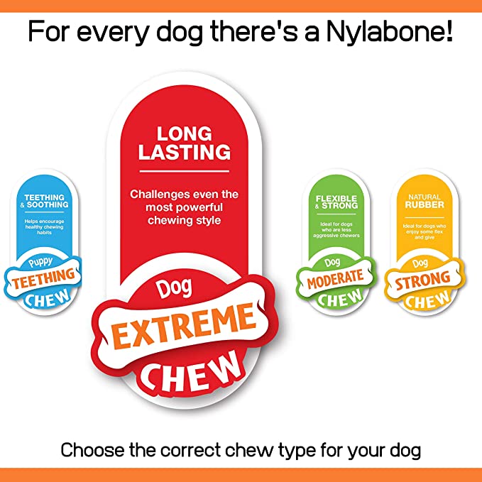 Nylabone Extreme Dog Wishbone Bison