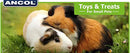 Ancol Small Animal Treat Ball 7.5cm