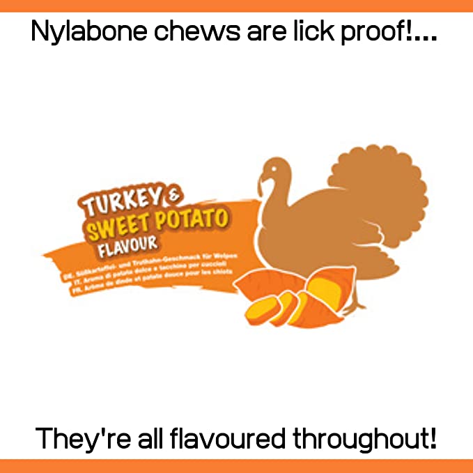 Nylabone Healthy Edibles Puppy Snack Turkey
