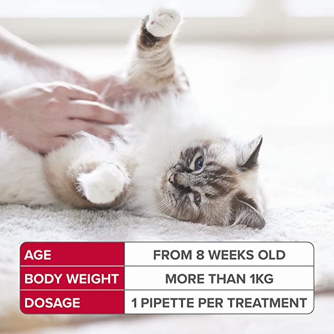 Beaphar FIPROtec Spot On Flea & Tick Treatment For Cats