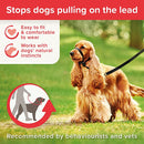 Beaphar Gentle Leader for Dogs - Black