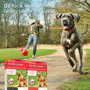 Beaphar Gentle Leader for Dogs - Black