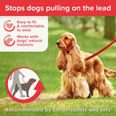 Beaphar Gentle Leader for Dogs - Red