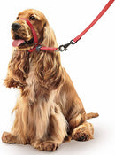 Beaphar Gentle Leader for Dogs - Red