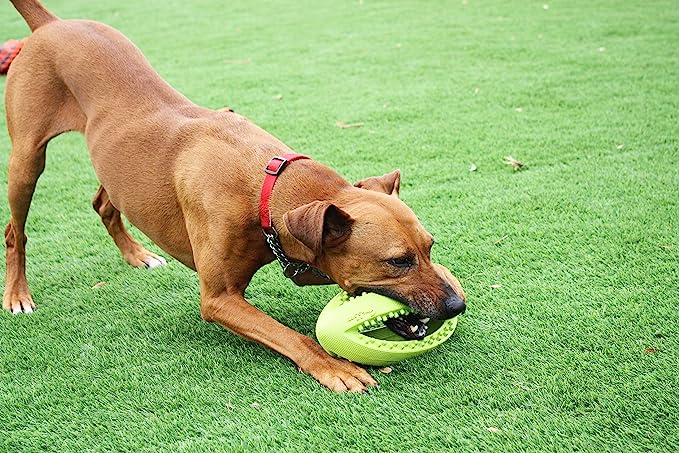 Happy Pet Grubber Interactive Rugby Ball Dog Toy Large
