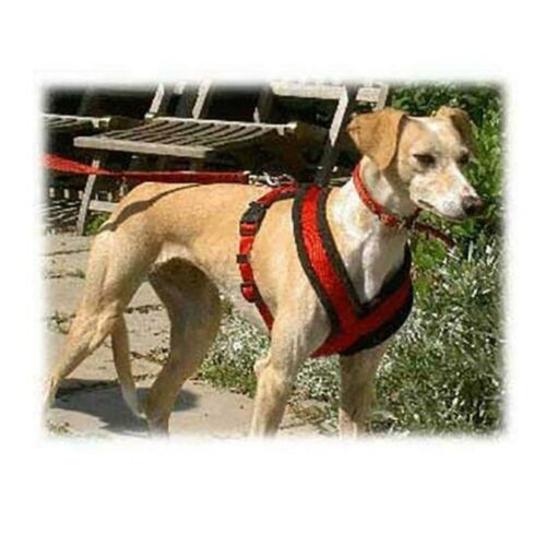 Trixie Premium Touring Dog Harness Red