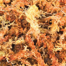 Trixie Sphagnum Moss Tropical Terrarium Substrate 4.5L