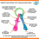 Nylabone Bacon Puppy Pacifier Chew XS