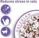Beaphar Cat Calming Treats - 35g