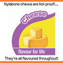 Nylabone Extreme Texture Cheese Dog Bone
