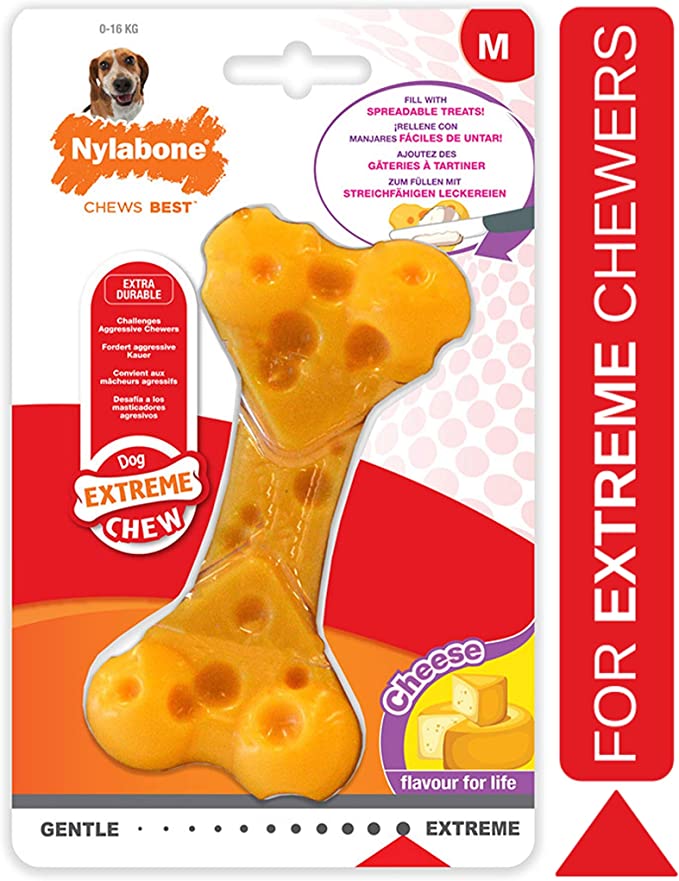 Nylabone Extreme Texture Cheese Dog Bone