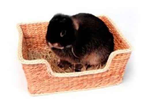 Safe To Chew Bed Basket-Package Pets