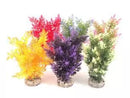 Sydeco Aqua Plant Fiesta Bush
