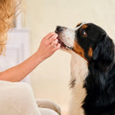 Beaphar Fresh Breath Tablets