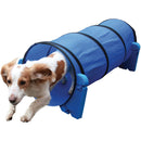 Rosewood Small Dog Agility Training Equipment