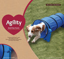 Rosewood Small Dog Agility Training Equipment