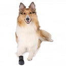 Trixie Walker Injured Protective Dog Boots