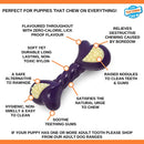 Nylabone Double Action Puppy Chew Regular