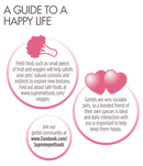 Supreme Science Selective Compete Gerbil Food