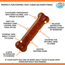 Nylabone Chicken Puppy Bone