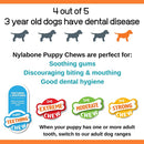 Nylabone Chicken Puppy Bone